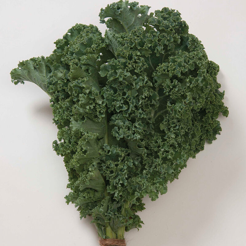 Winterbor Curly Kale