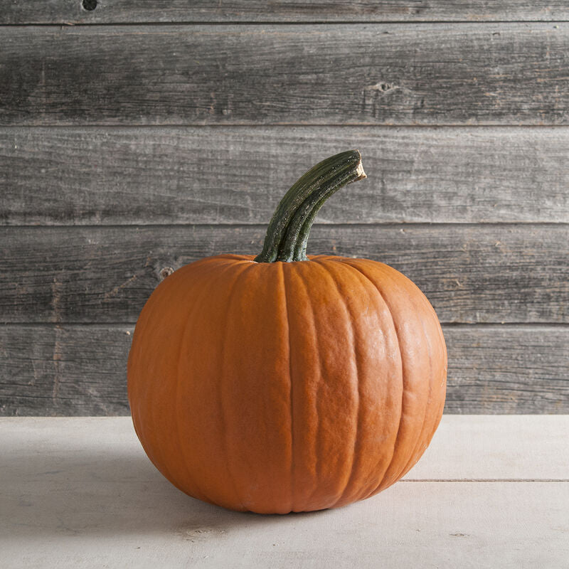Champion Pumpkin