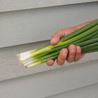 Herb Kit