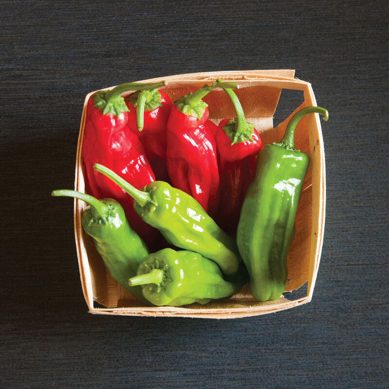 Shishito Pepper