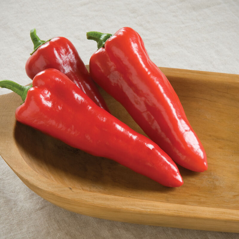 Sweet Red Pepper