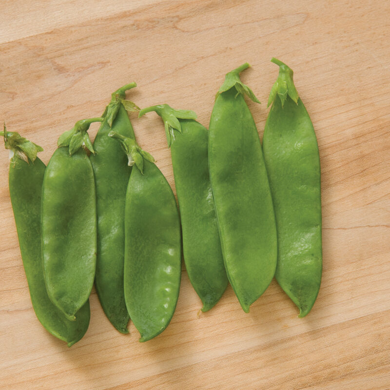 Snow Peas
