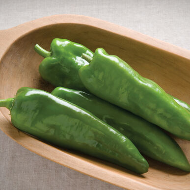 Anaheim Hot Pepper