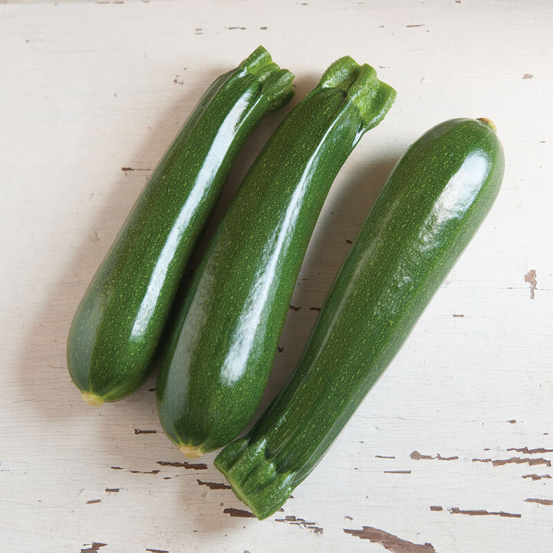 Zucchini Squash
