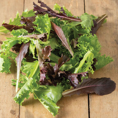 Starstruck Lettuce Mix