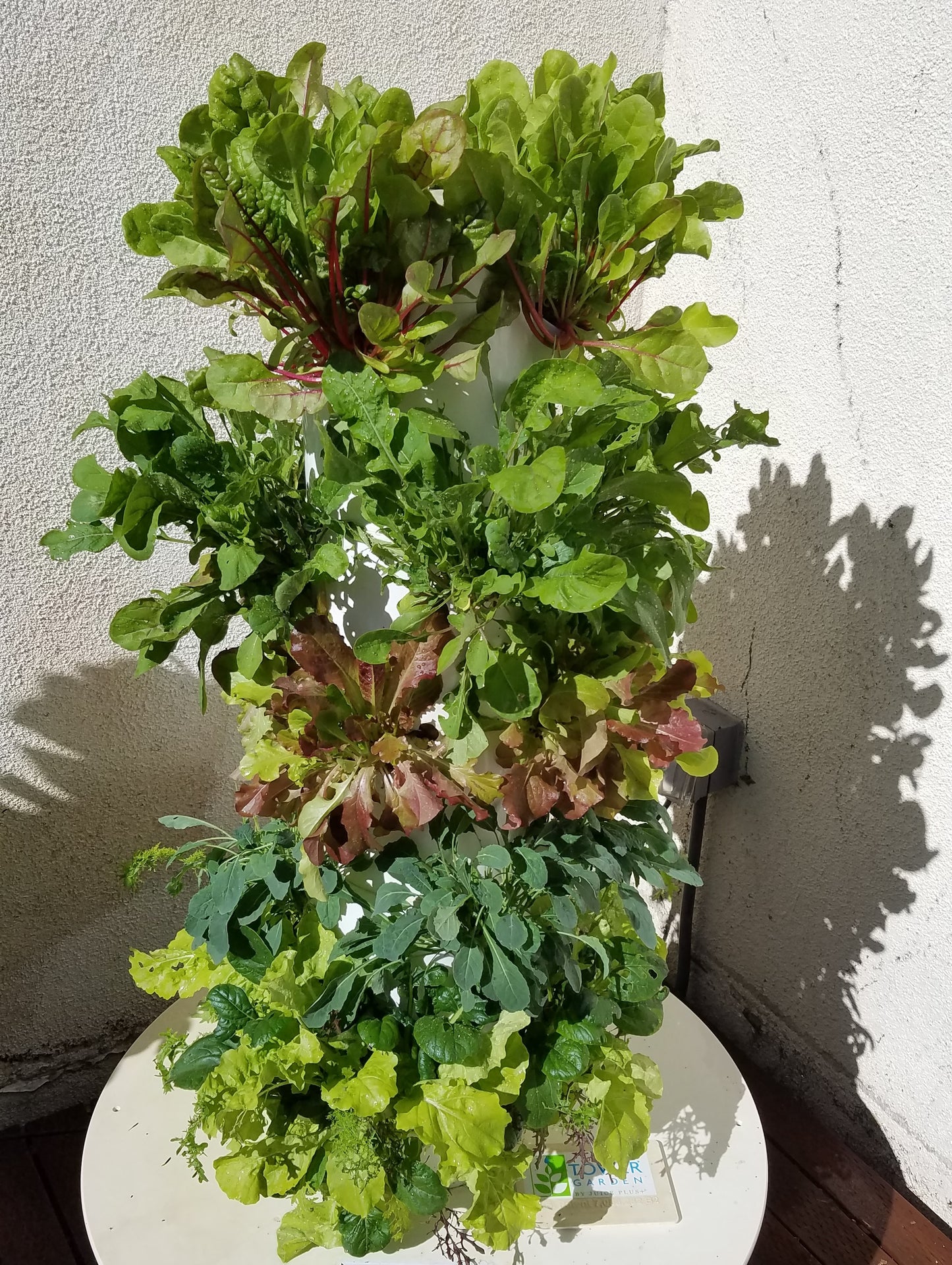 Tower Garden Challenge Pack - Flex (20)