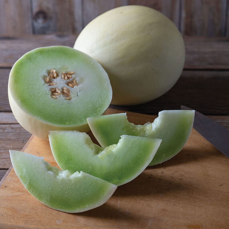 Flavor Journey Honeydew