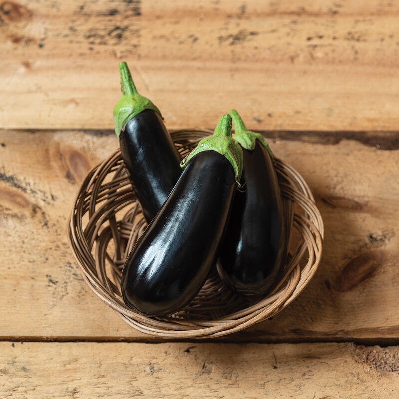 Italian Eggplant