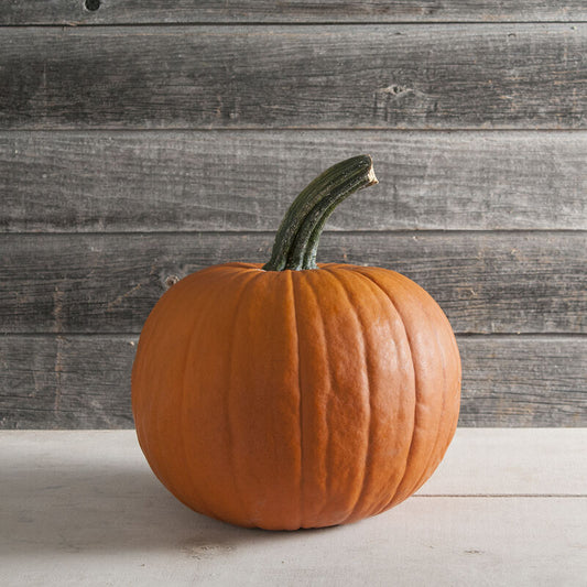 Champion Pumpkin