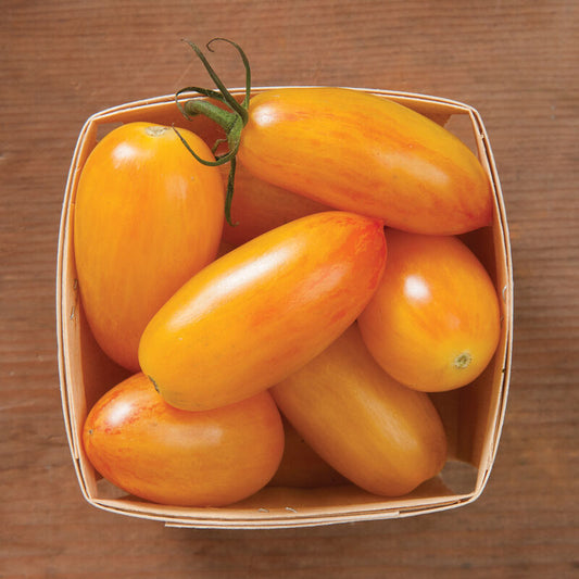 Blush Roma Tomato
