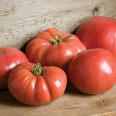 German Johnson Tomato