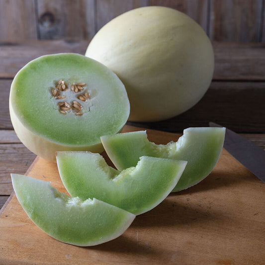 Flavor Journey Honeydew